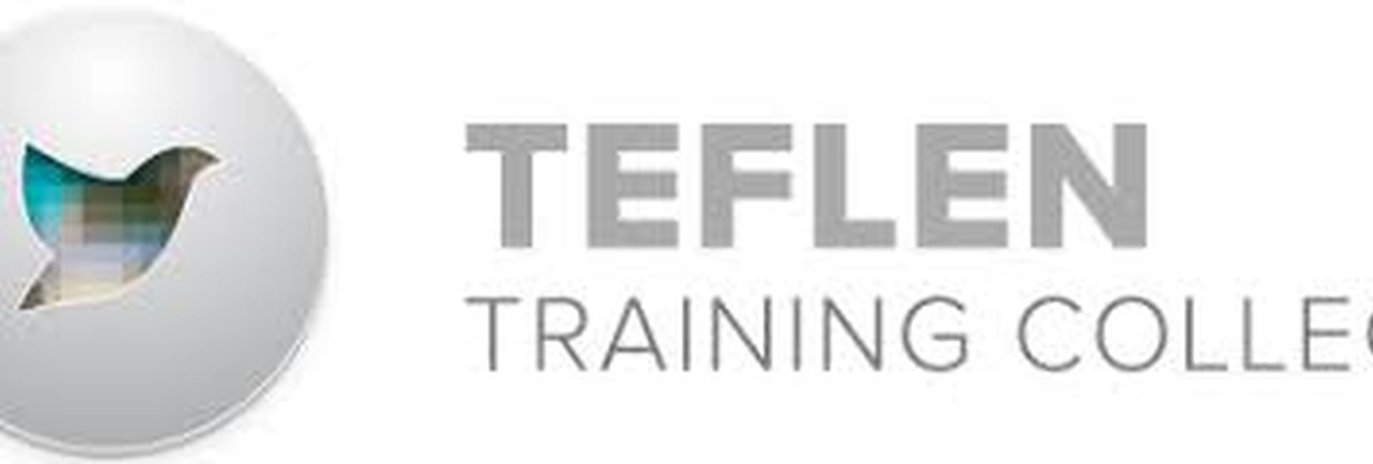 Teflen-tesol-reviews-logo