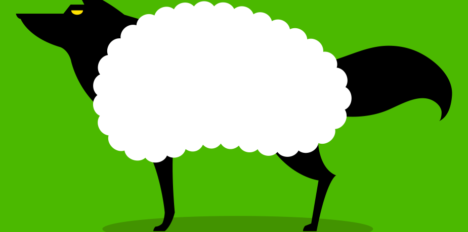 how not to fall victim to a tefl scam